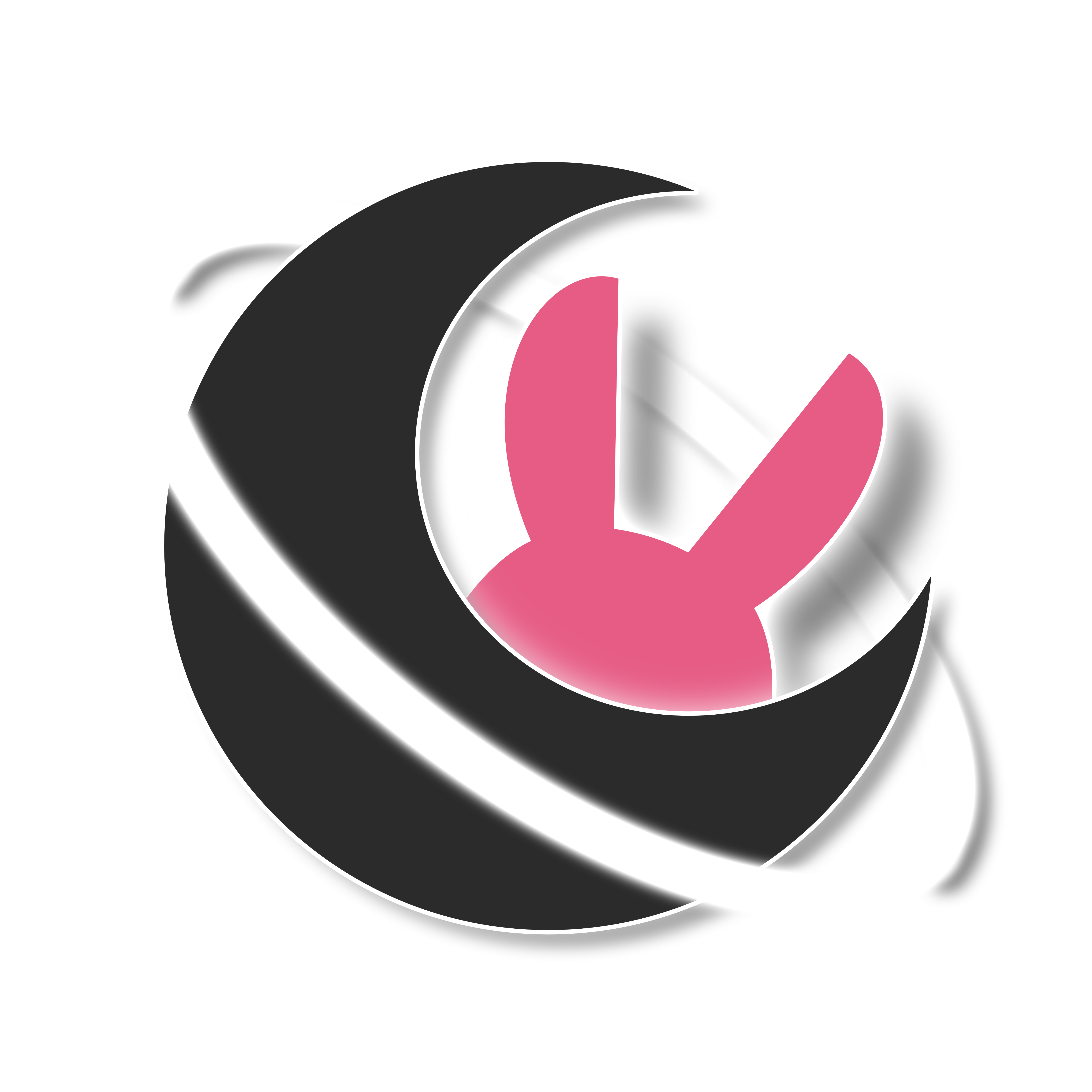 Dalsiru Logo